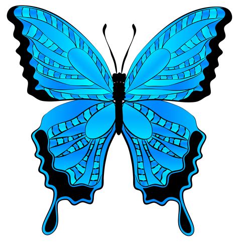 clip art butterfly